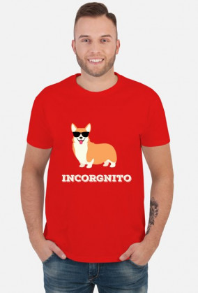 Incorgnito - Welsh Corgi