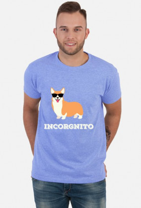 Incorgnito - Welsh Corgi