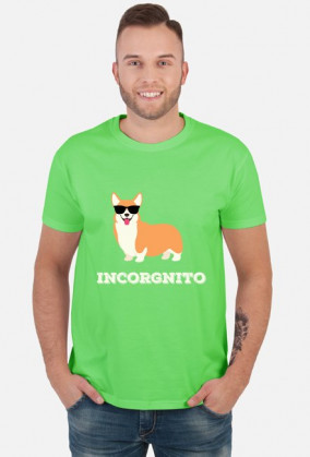 Incorgnito - Welsh Corgi
