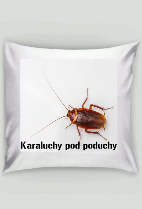 Poduszka "dobranoc pchły na noc karaluchy, pod poduchy"