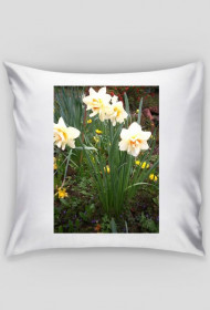 Poszewka z zdjęciem