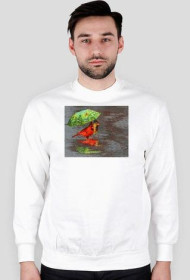 parasol nie tylko ludzią potrzebny