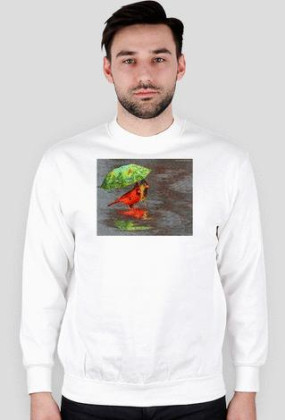 parasol nie tylko ludzią potrzebny