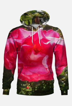 Bluza damska