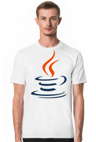 Java Developer