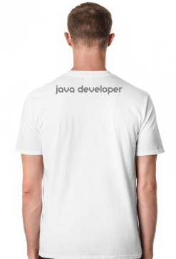 Java Developer