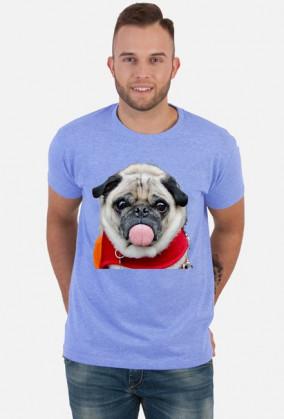 dog mops