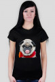dog mops girl