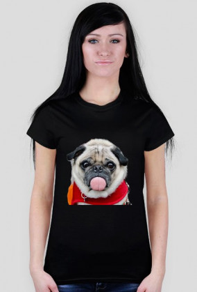 dog mops girl