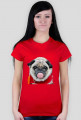 dog mops girl
