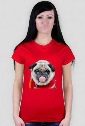 dog mops girl