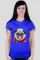dog mops girl