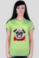 dog mops girl