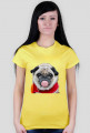 dog mops girl