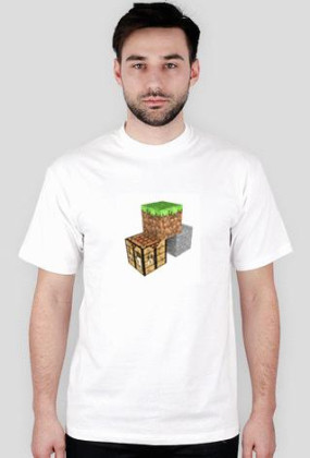 minecraft 02