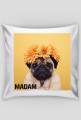 Poduszka Madam. Mr. Buldog
