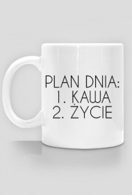 PLAN DNIA