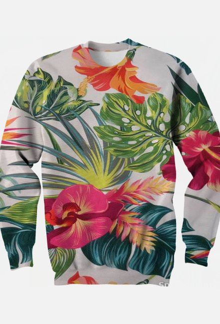 bluza