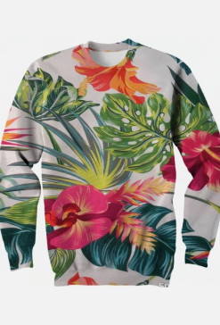 bluza