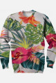 bluza