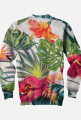 bluza