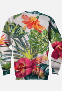 bluza