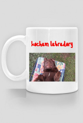 KUBEK Z LABRADOREM