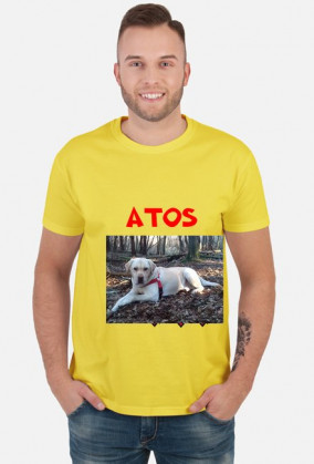 Koszulka męska labrador