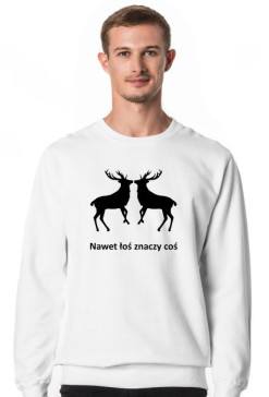 Łoś