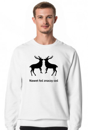 Łoś