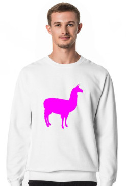 Lama