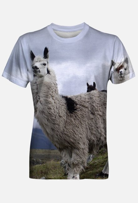 Lama