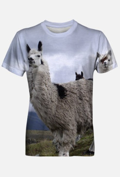 Lama