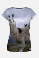 Lama