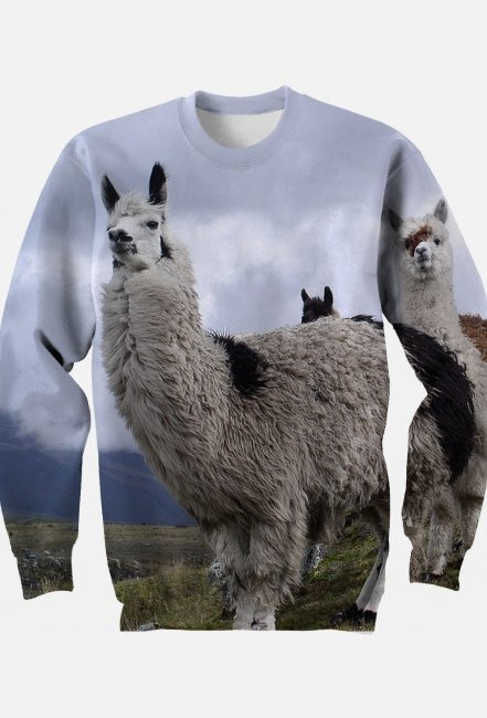 Lama