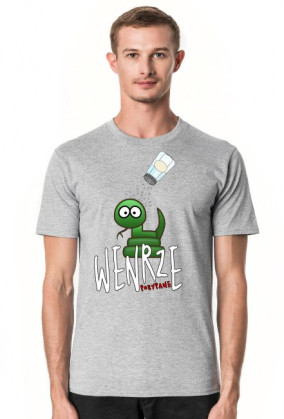 WENRZE LIMITED