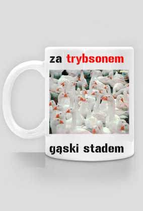 Kubek dla fanów warsaw shore