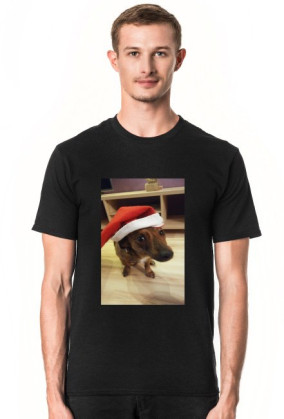 funny dog