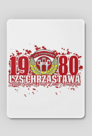 Podkładka LZS Chrząstawa