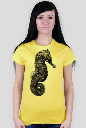 Konik morski - rysunek