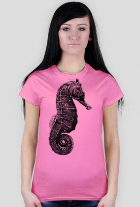 Konik morski - rysunek