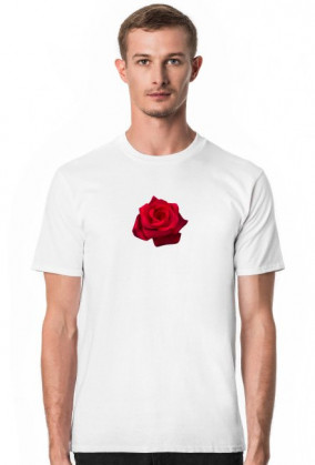 KOSZULKA ROSE M WHITE