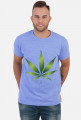 Marihuana