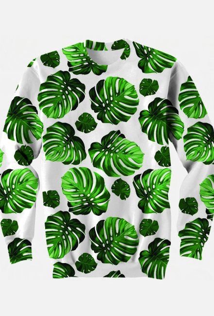 Monstera