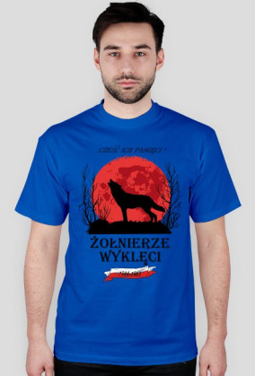 Żołnierze Wyklęci 4