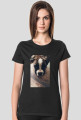 Dog Boxer