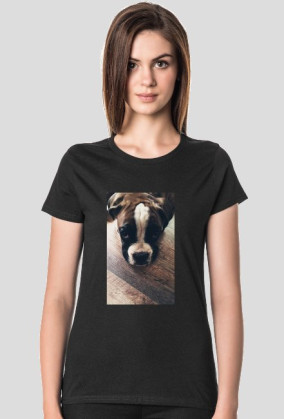 Dog Boxer