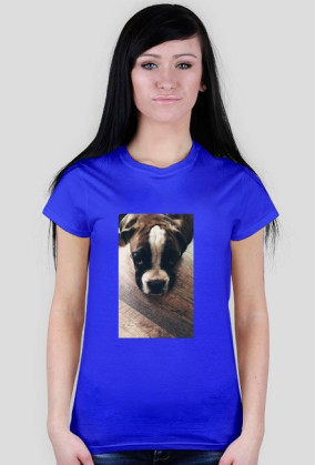 Dog Boxer