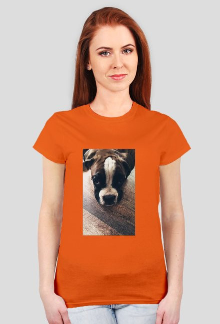 Dog Boxer