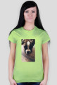Dog Boxer
